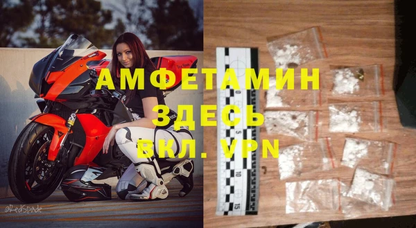 хмурый Арсеньев