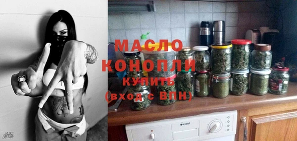 хмурый Арсеньев