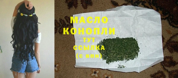 хмурый Арсеньев