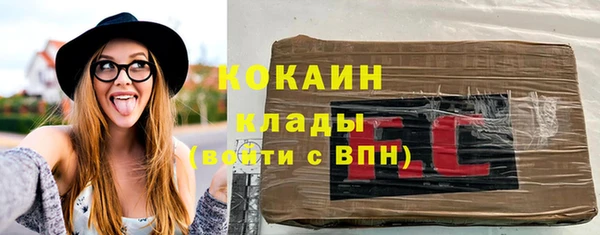 хмурый Арсеньев