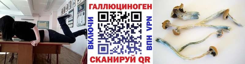 Псилоцибиновые грибы Psilocybine cubensis  МЕГА маркетплейс  Тайшет 